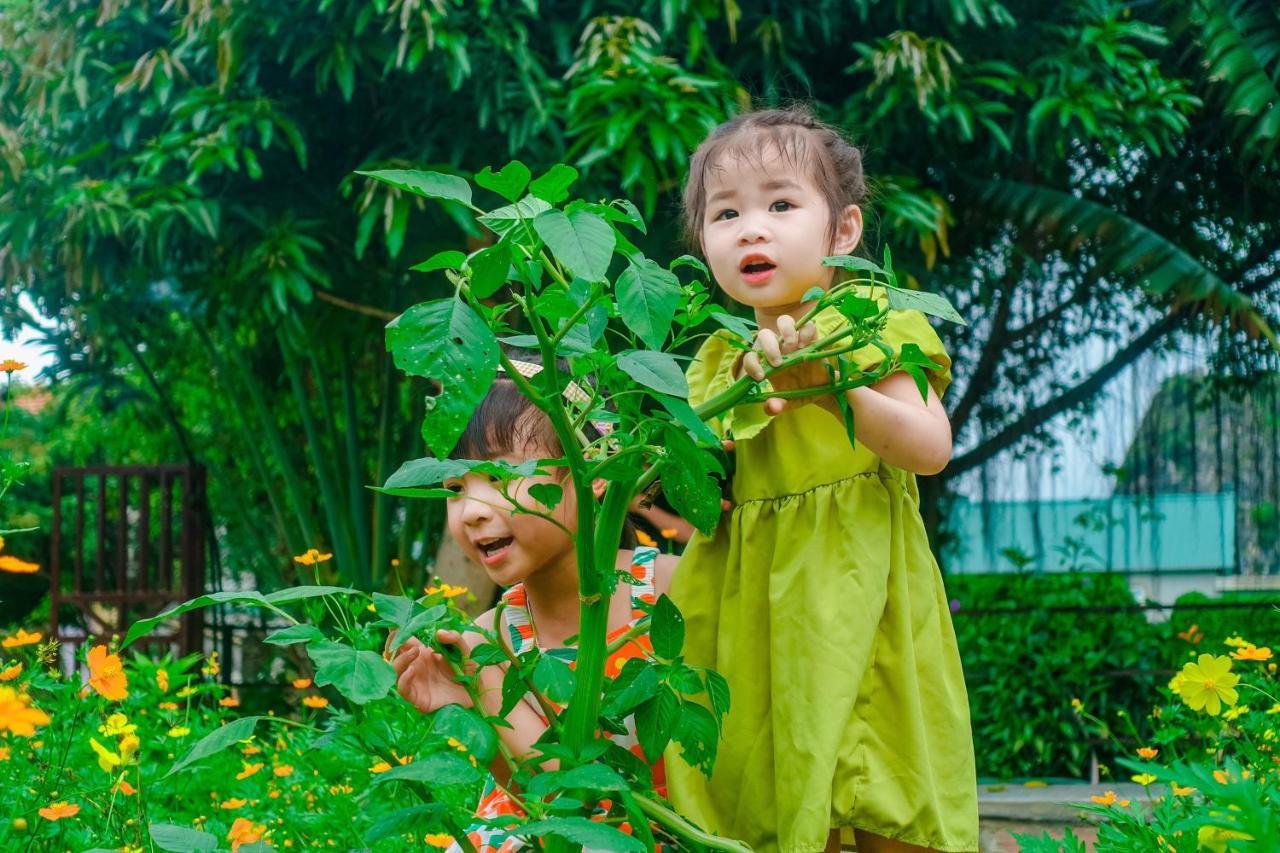 Ninh Binh Mountain Side Homestay & Cafe Экстерьер фото